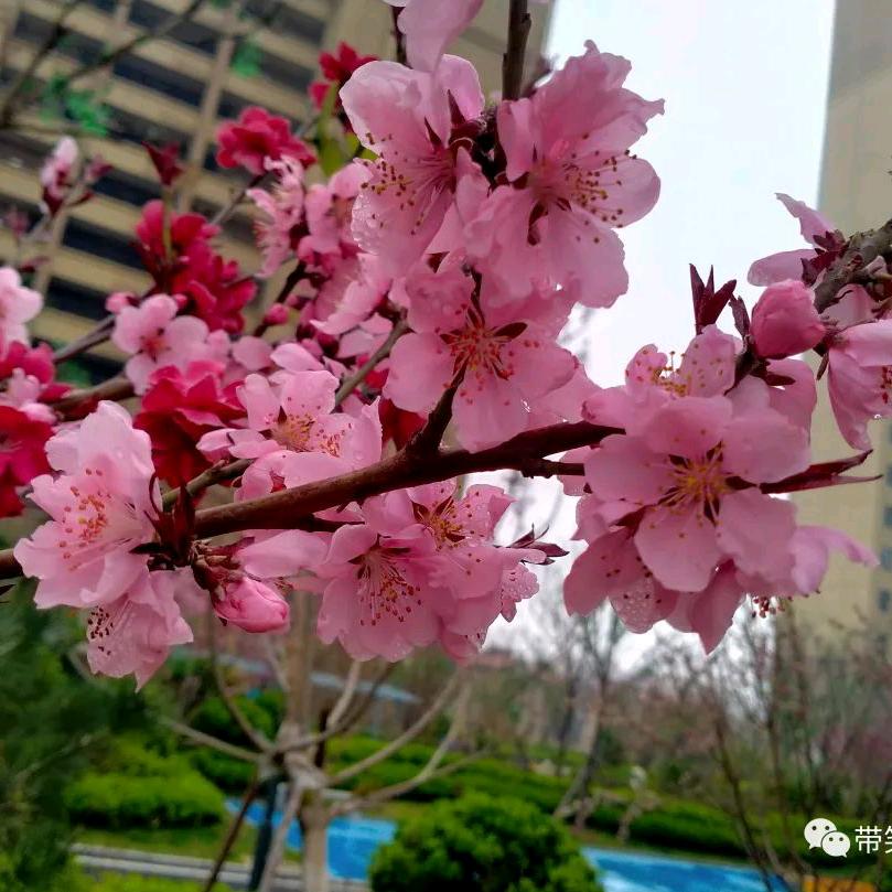 哥只是个传说！！！！！