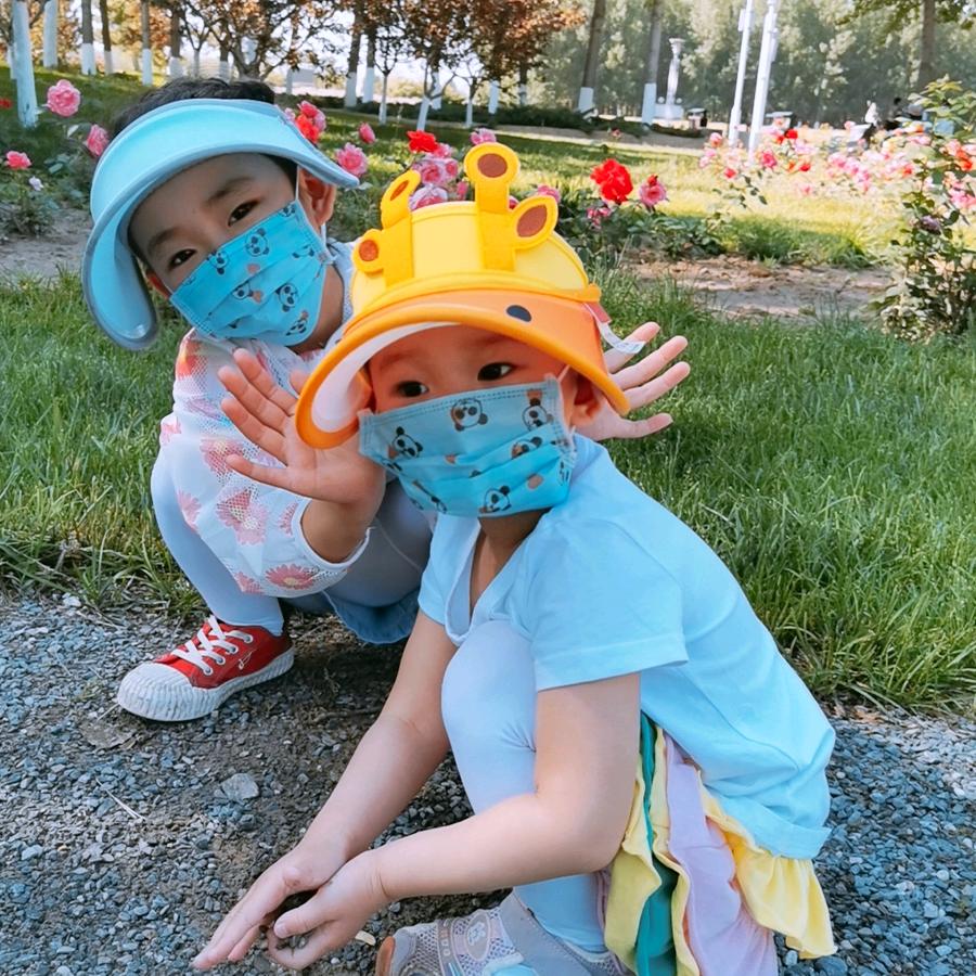 网络小花儿