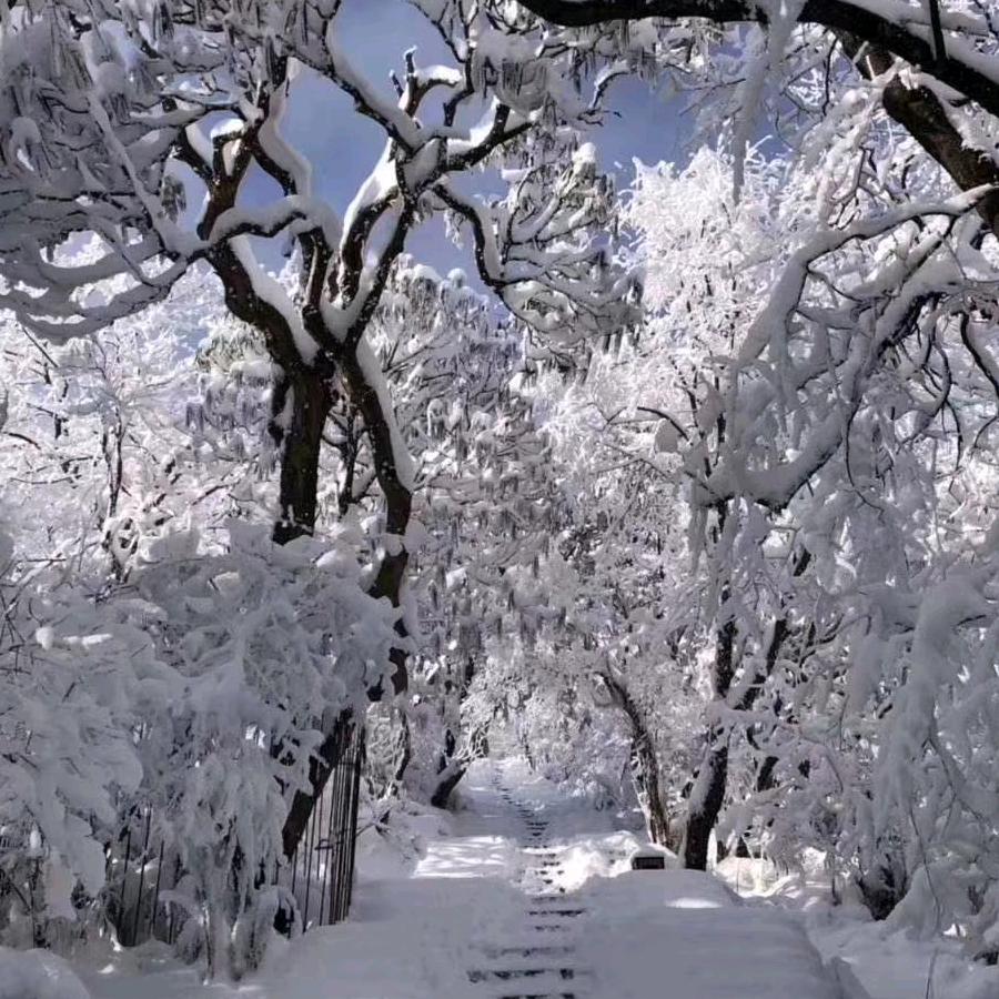 雪花