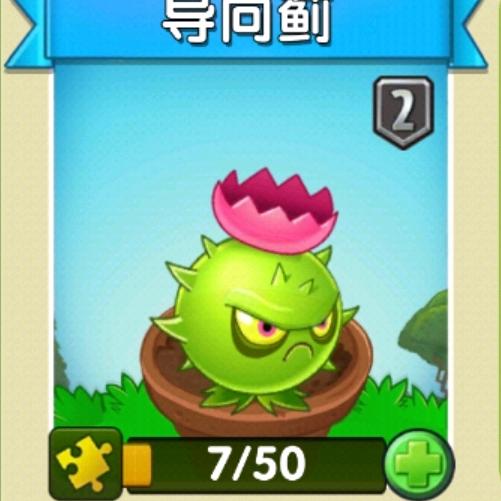 导向蓟