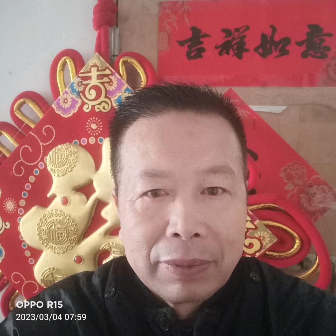 歌在飞
