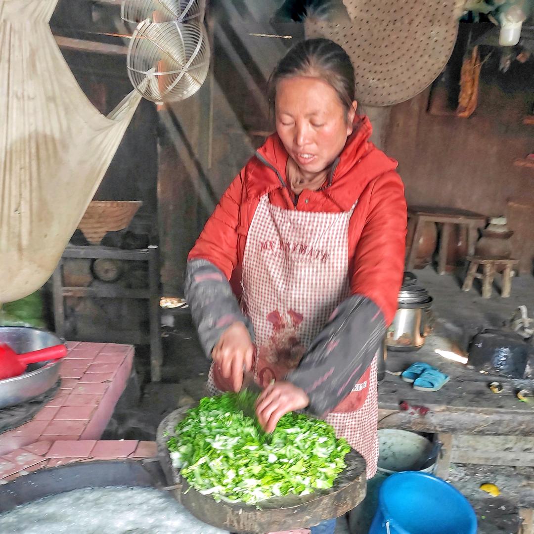 杨权英