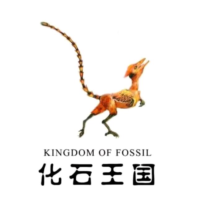 化石王国