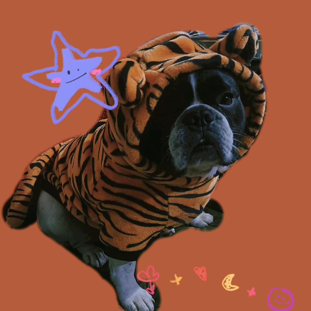 亮晶晶晶✨✨✨