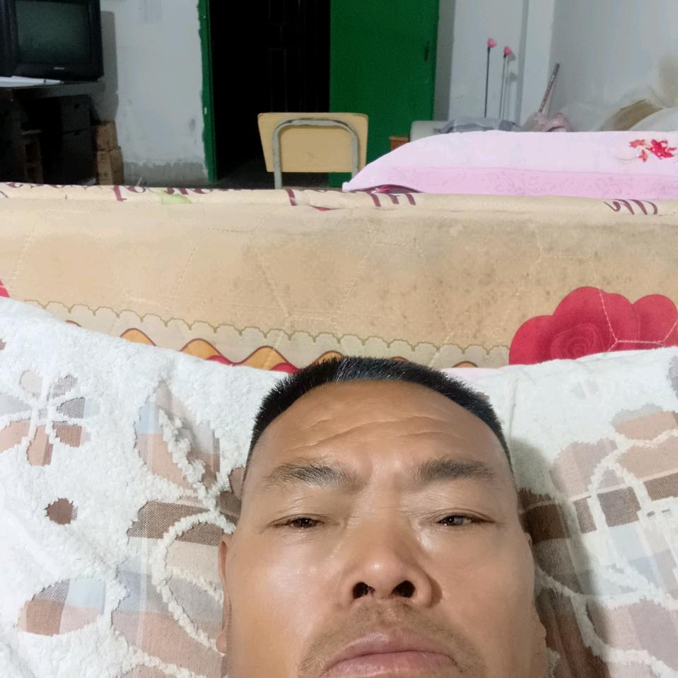 肖逍遥自在多好