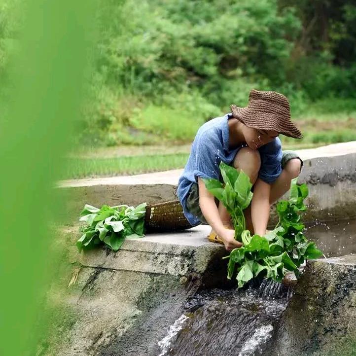 上犹县甘姥姥农家大院康敏