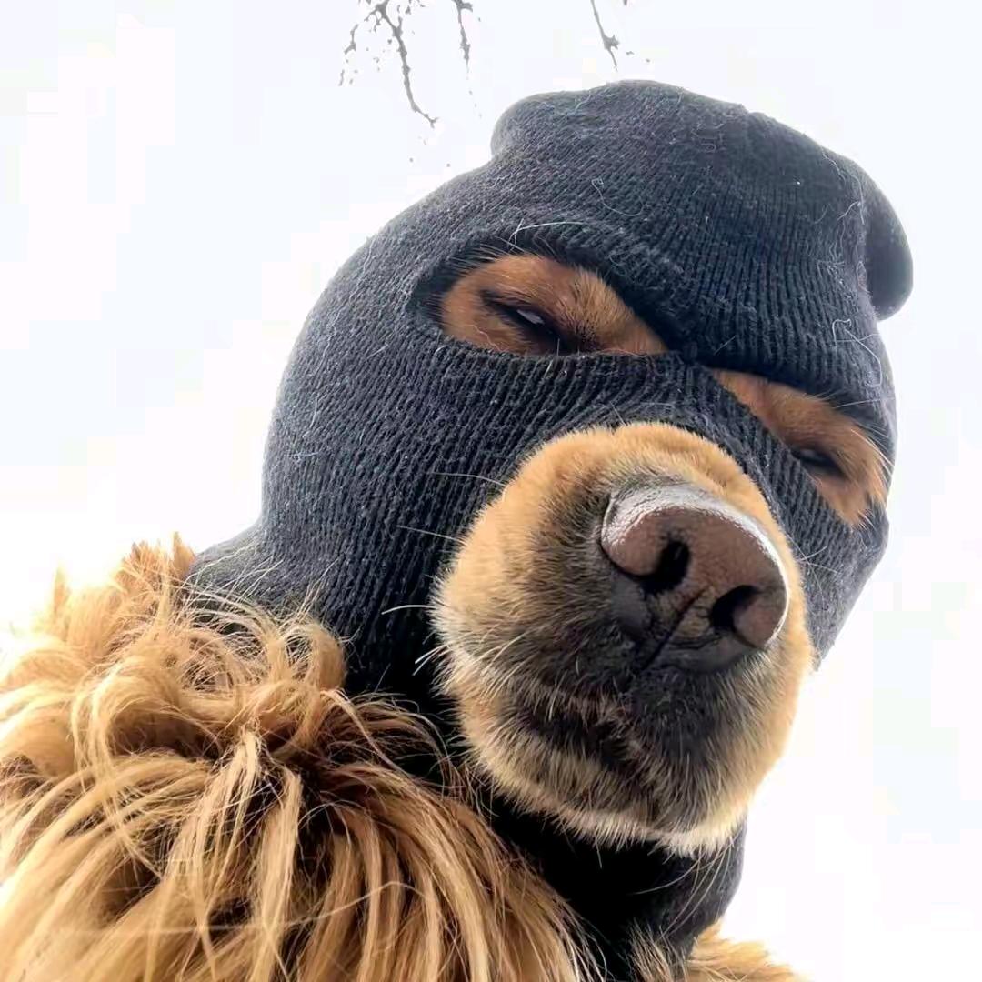 杜大侠