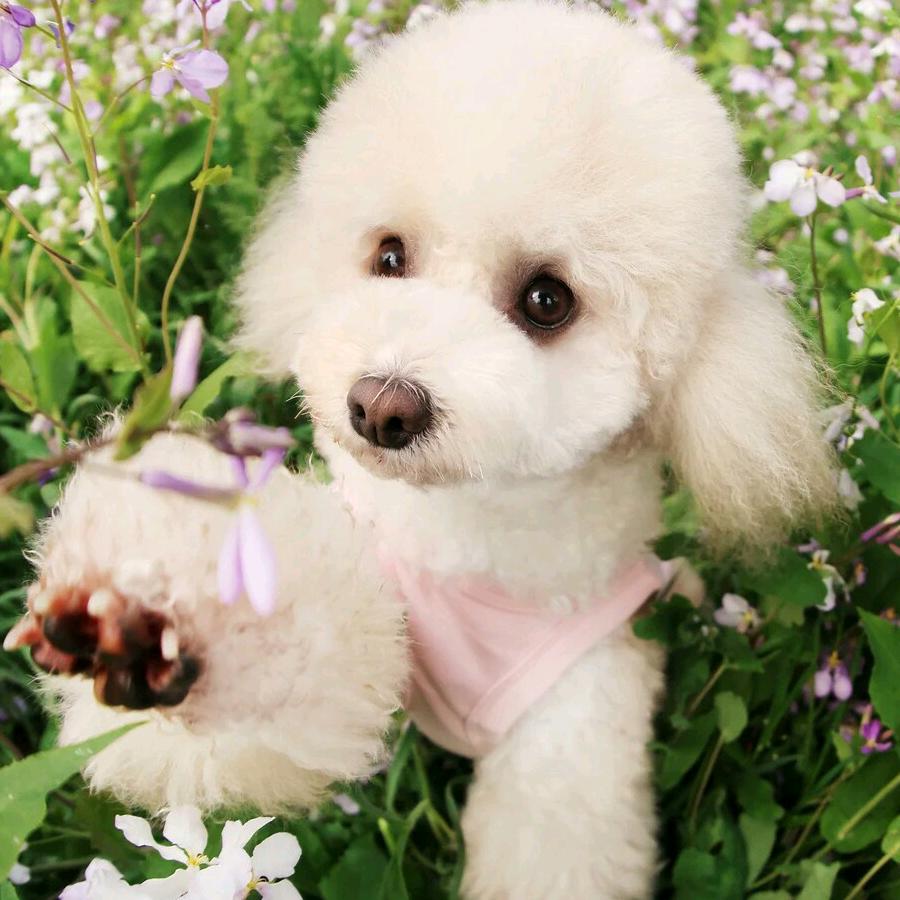 青海交电（天地乐厨电）