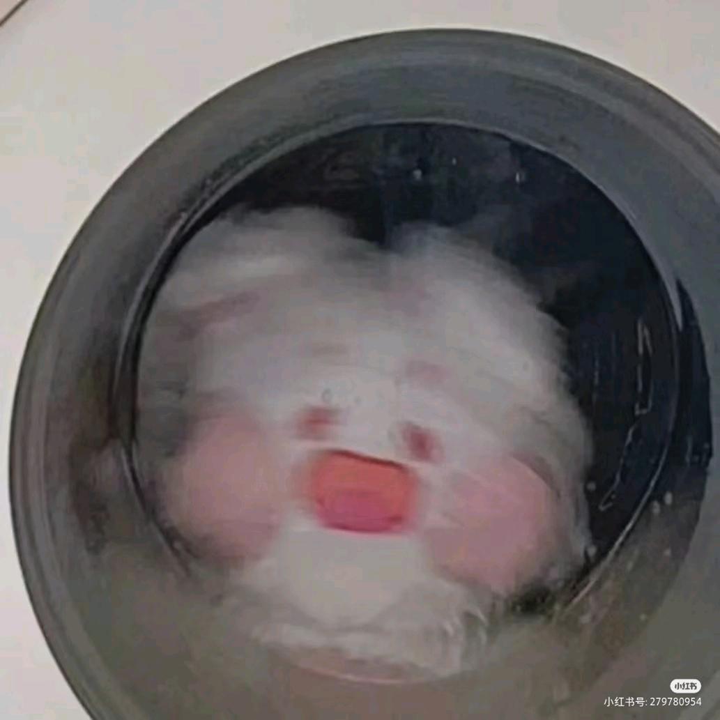 弹力欲
