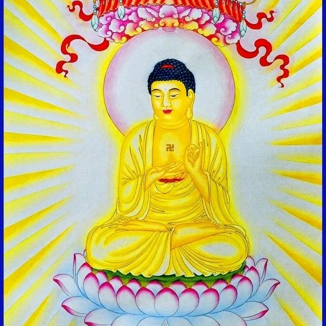 佛心法则