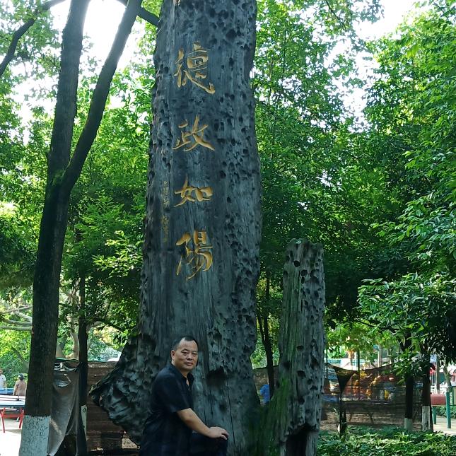 德政如阳