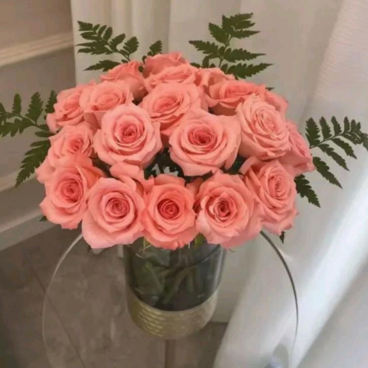 幸福一家人《拒绝连赞》