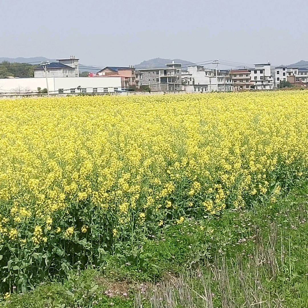 小曾123
