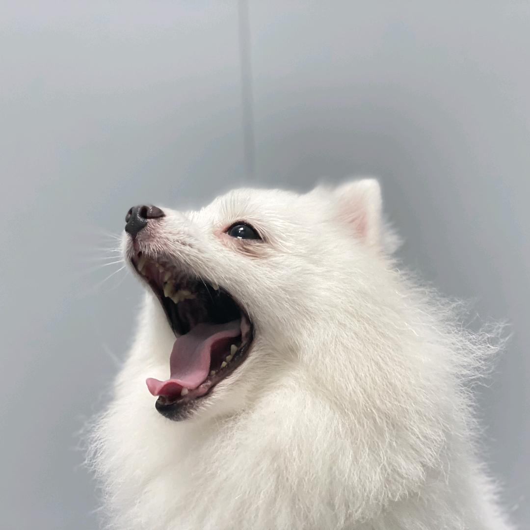 曙光☀️