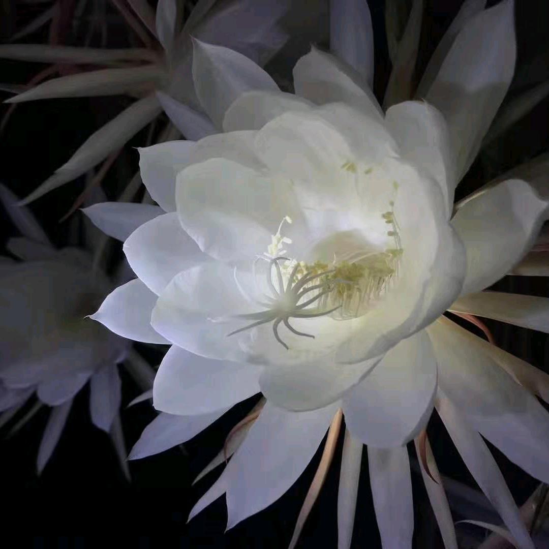 用户4566086075455艳艳