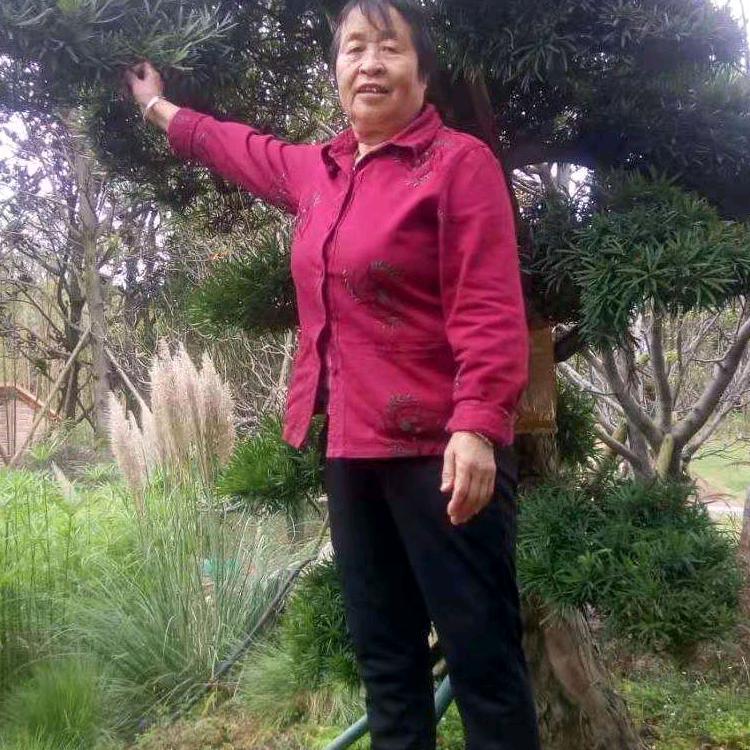 张大孃