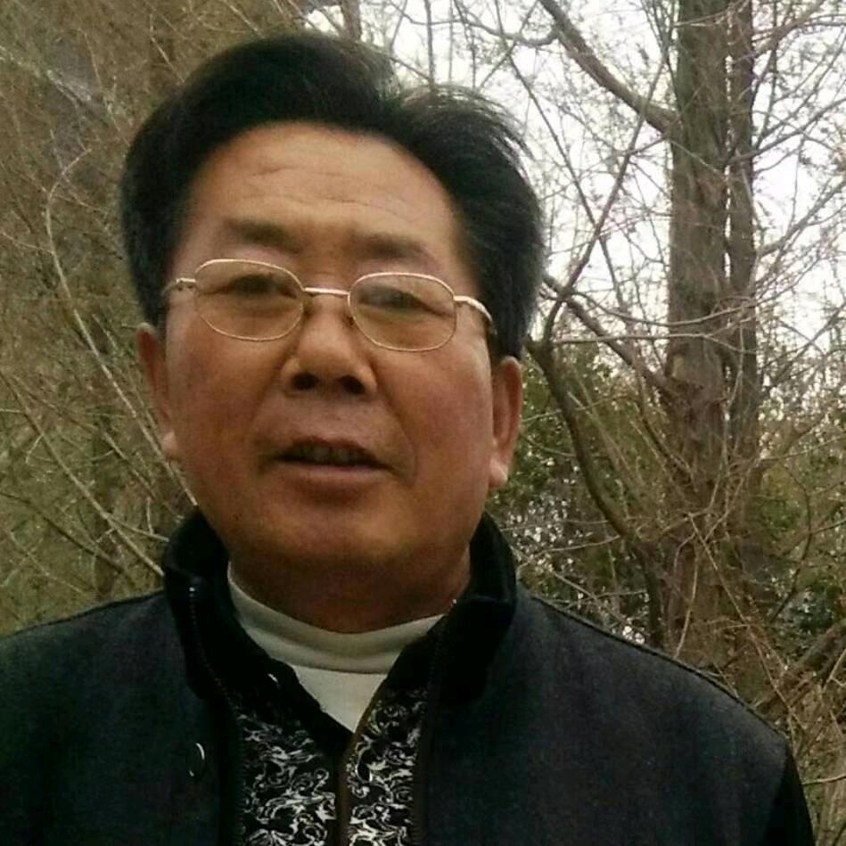 呆柚头像