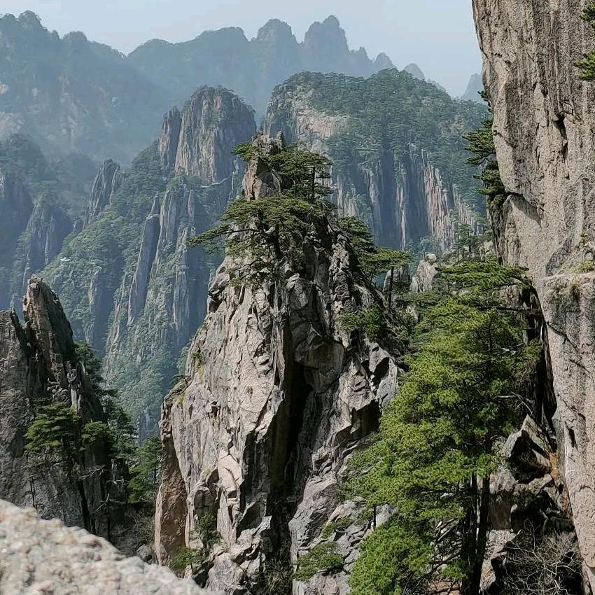 明月天涯