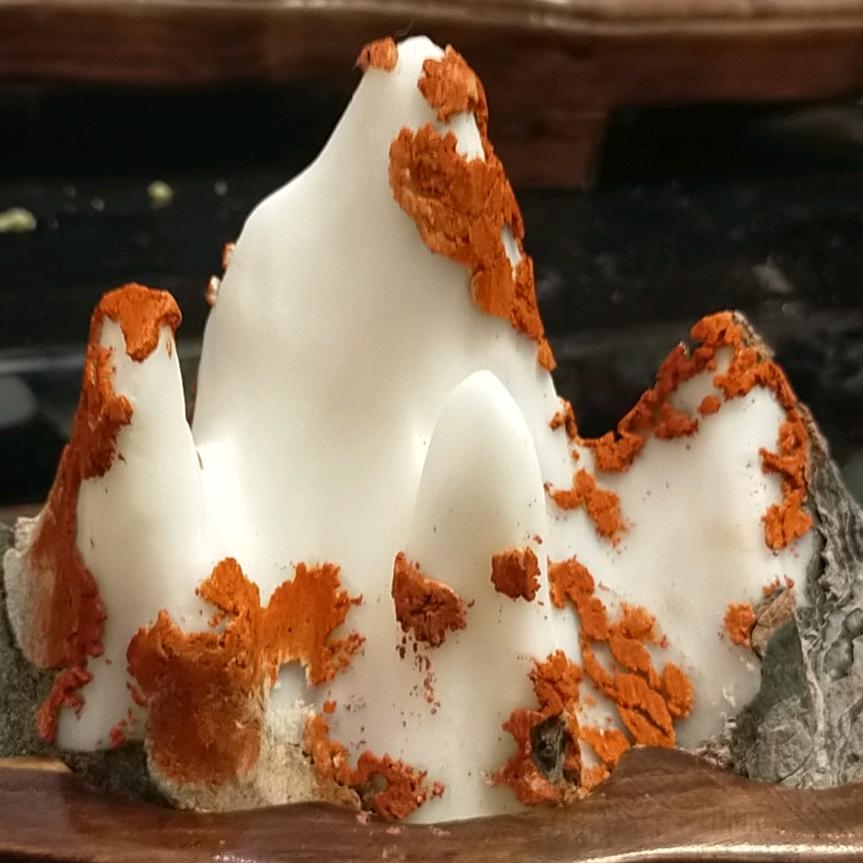灵璧奇石缘