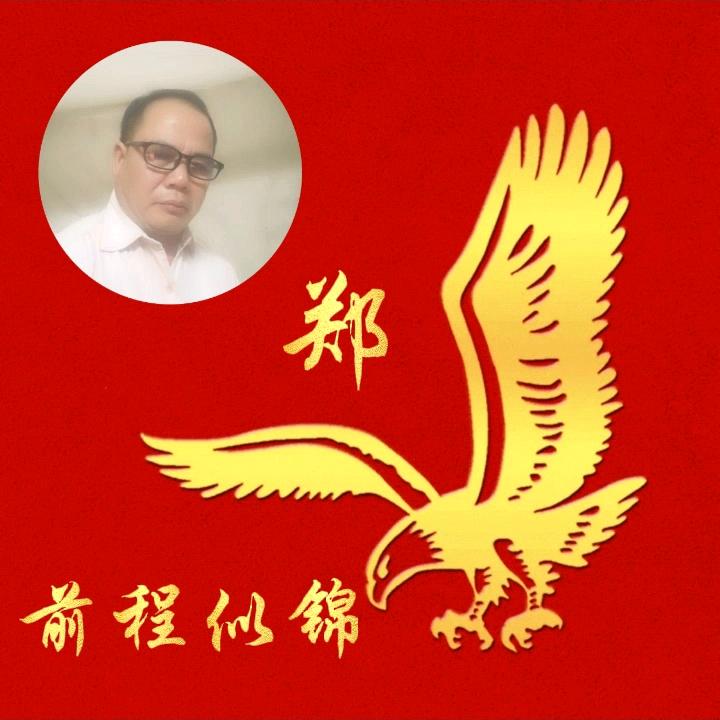 老鹰