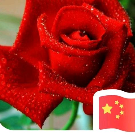 A人面桃花