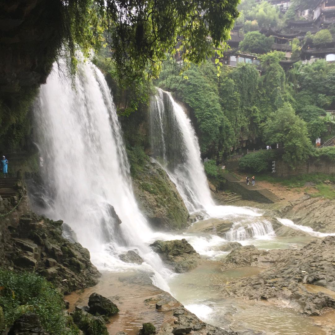 保真酒水，仁轩