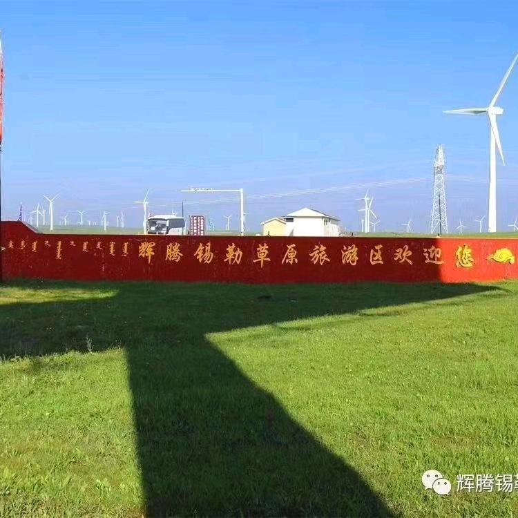 辉腾锡勒黄花沟草原金雕