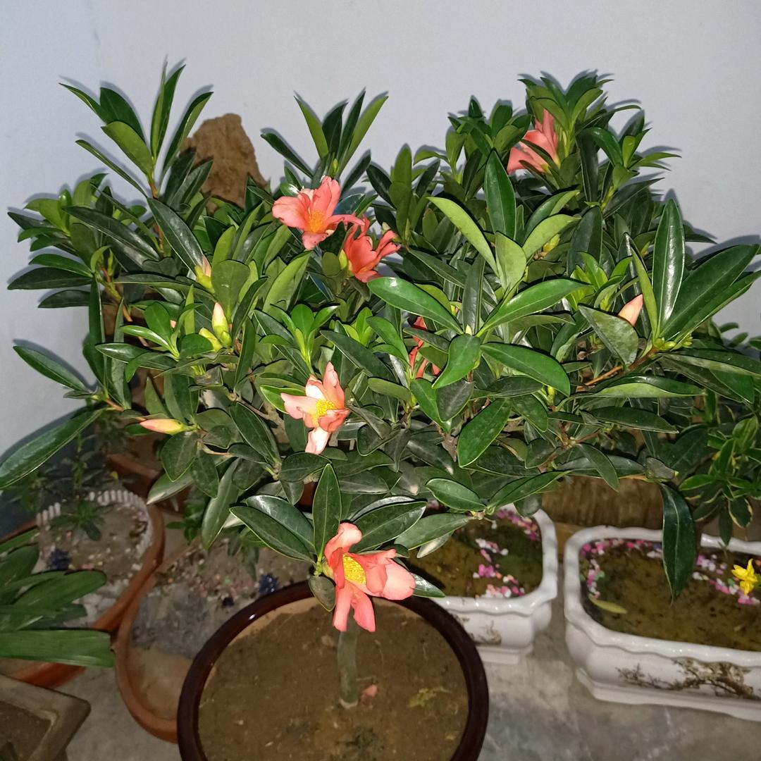 厚德，才能载物