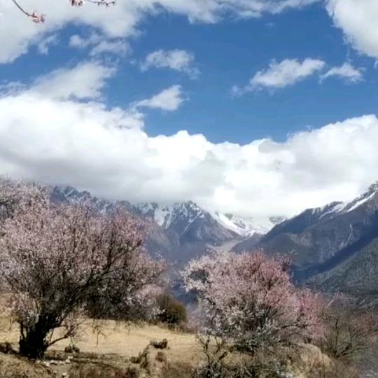 以墨