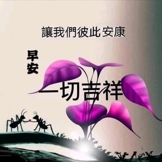 芳芳