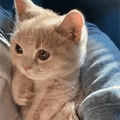 阳光☀️