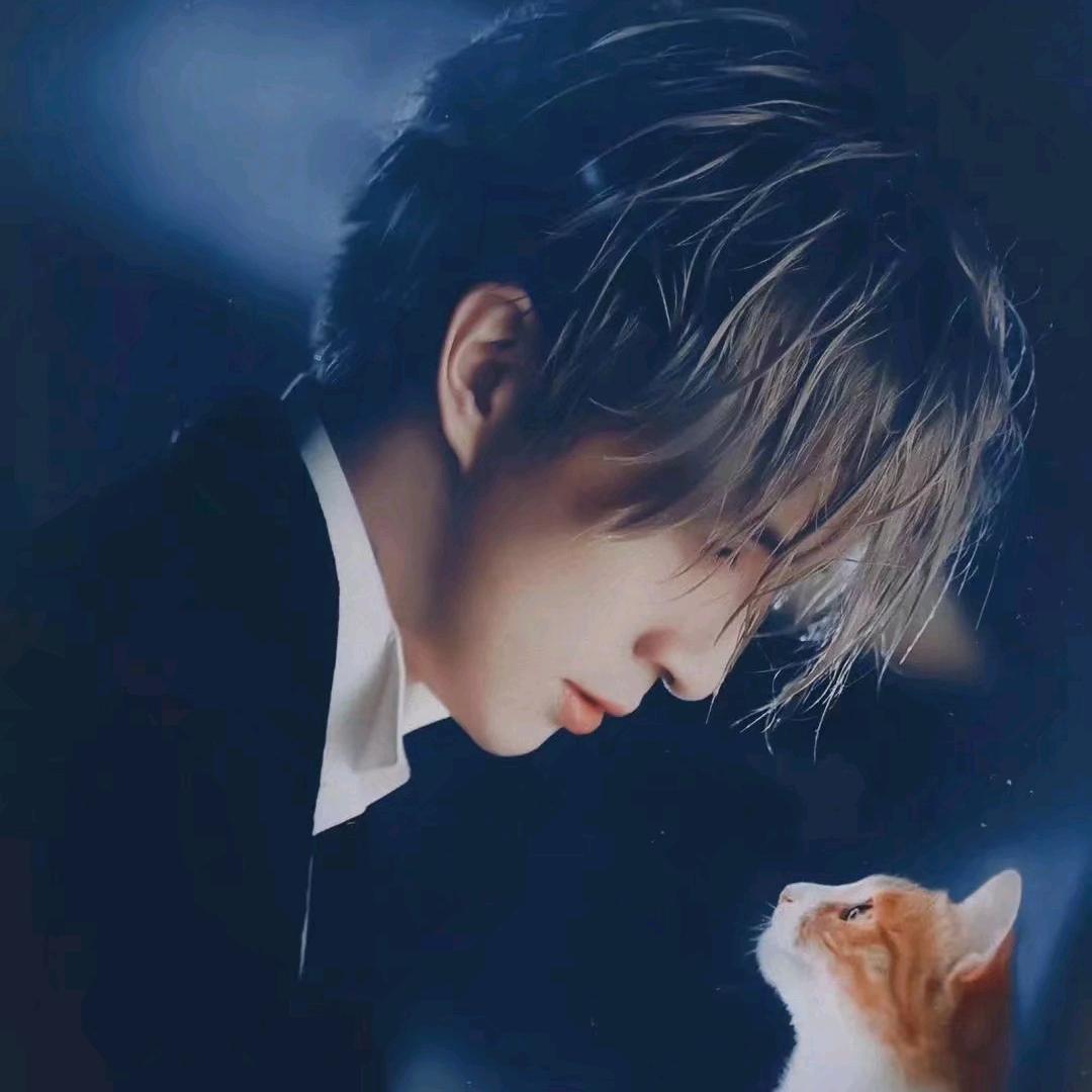 月亮与六便士（我在南京见过你）