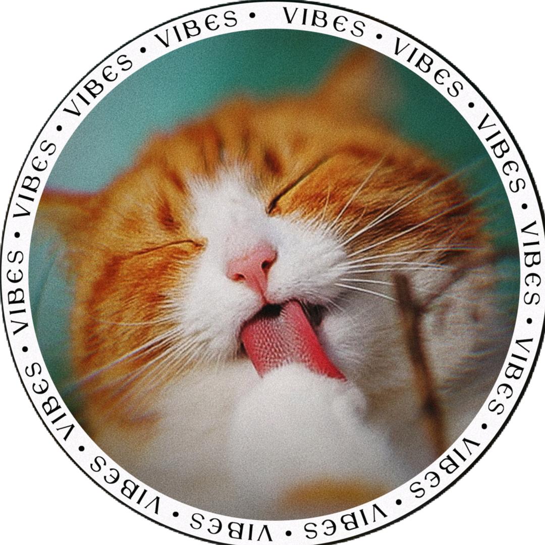 会飞的猫
