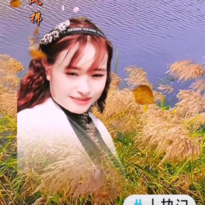 惠子好物