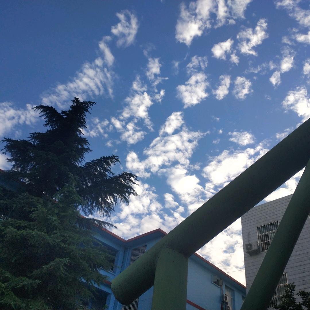 ❤️未来可期👩‍❤️‍💋‍👨