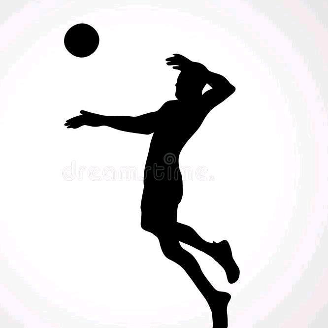 排球-隔壁老王🏐️