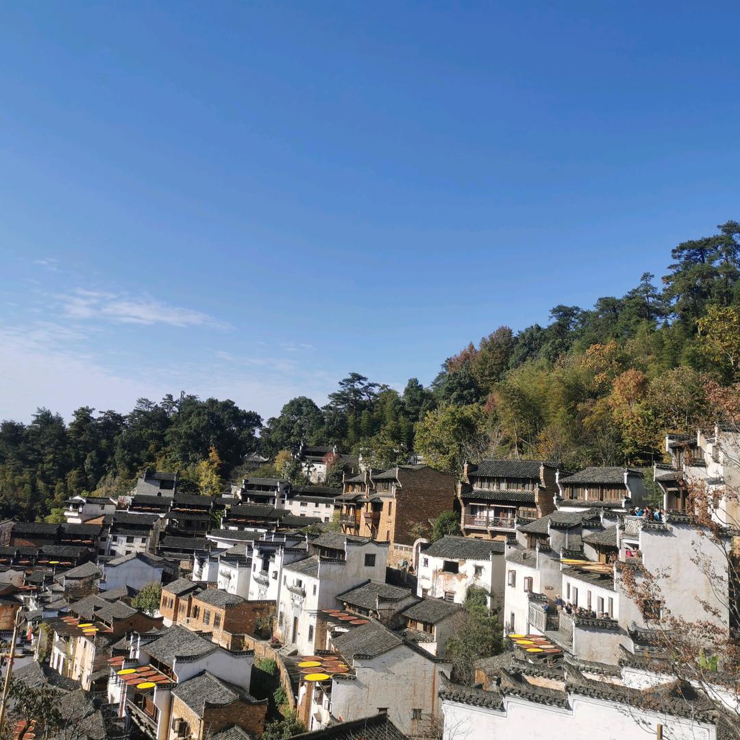 三个村干部，助农