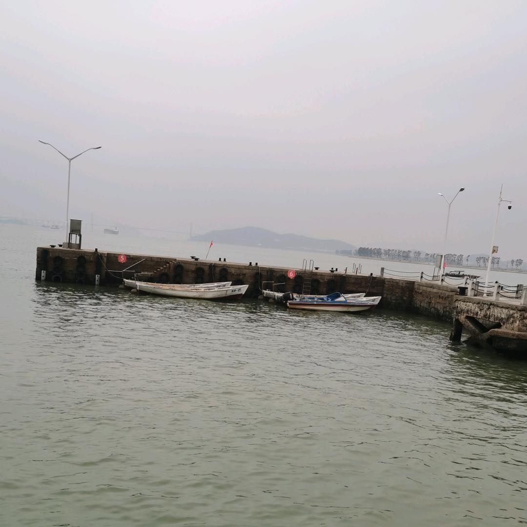 万虹