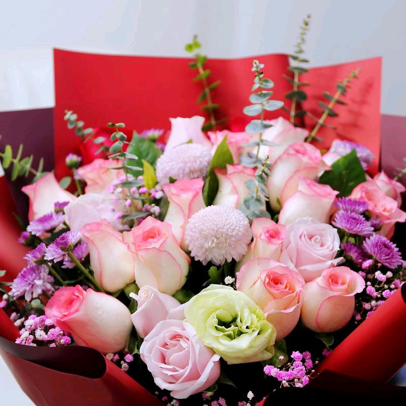 🌹凤姐🌹