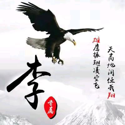 李李   好物推荐