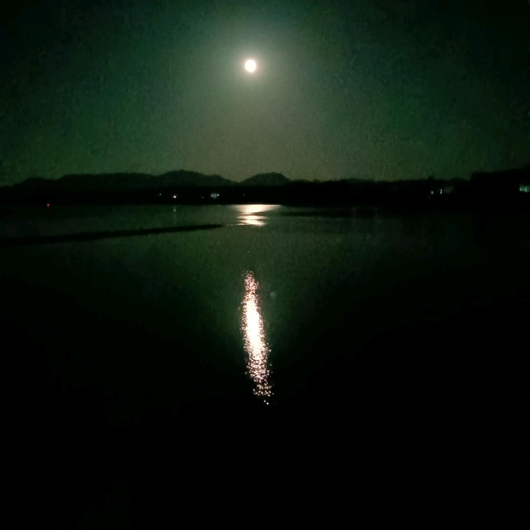 吉峡虾农头像