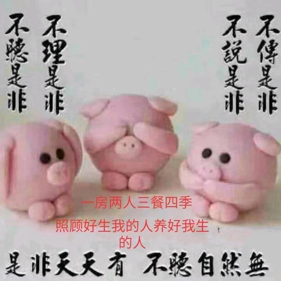 无处安放的青春