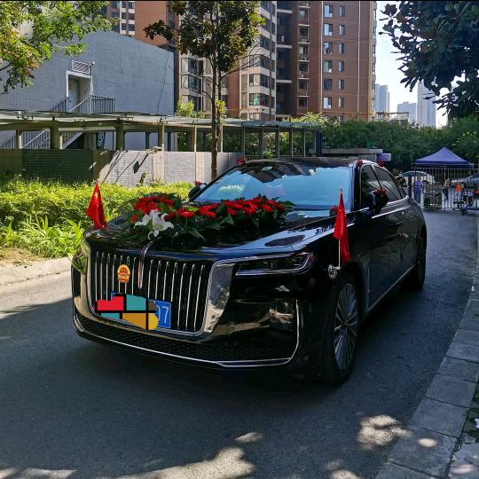 内乡毛哥（婚庆车队）