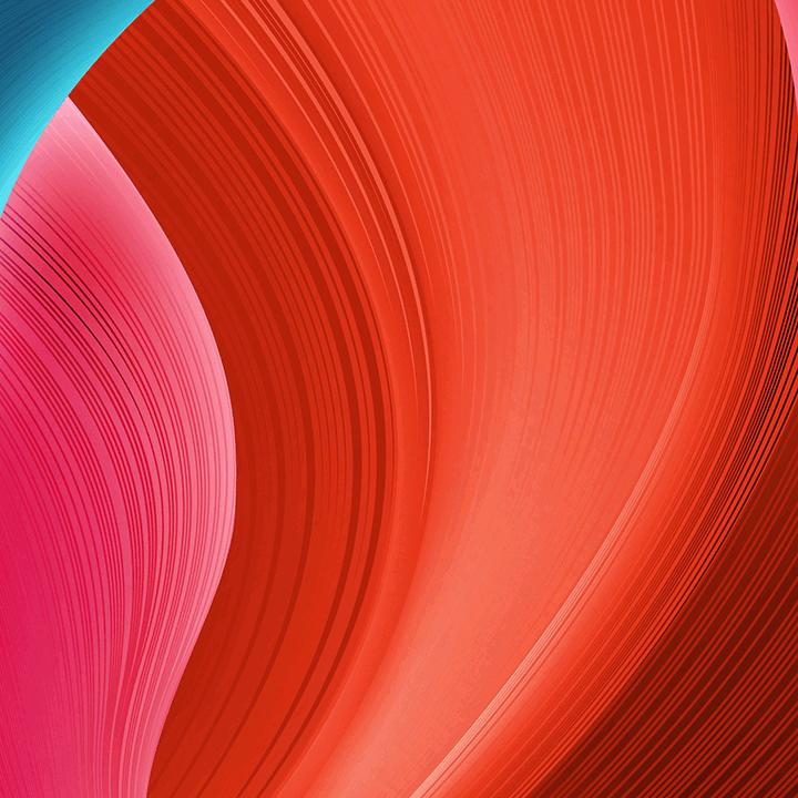 占历