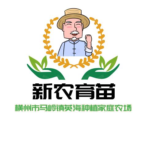 横州市英海育苗基地