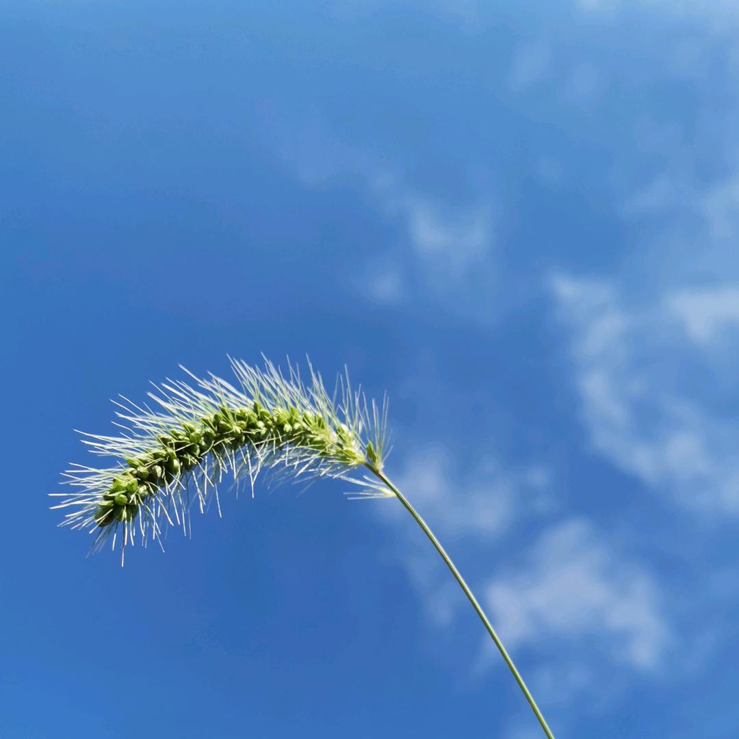 落叶💚Ꮤ❤️