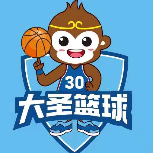 阜南大圣篮球