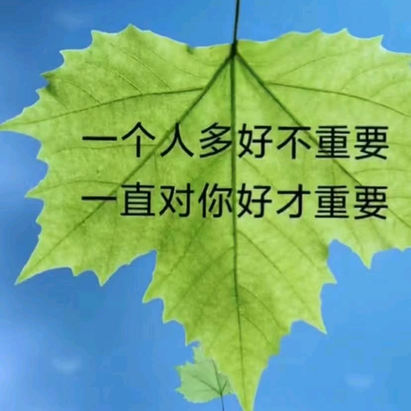 放纵♥随遇而安