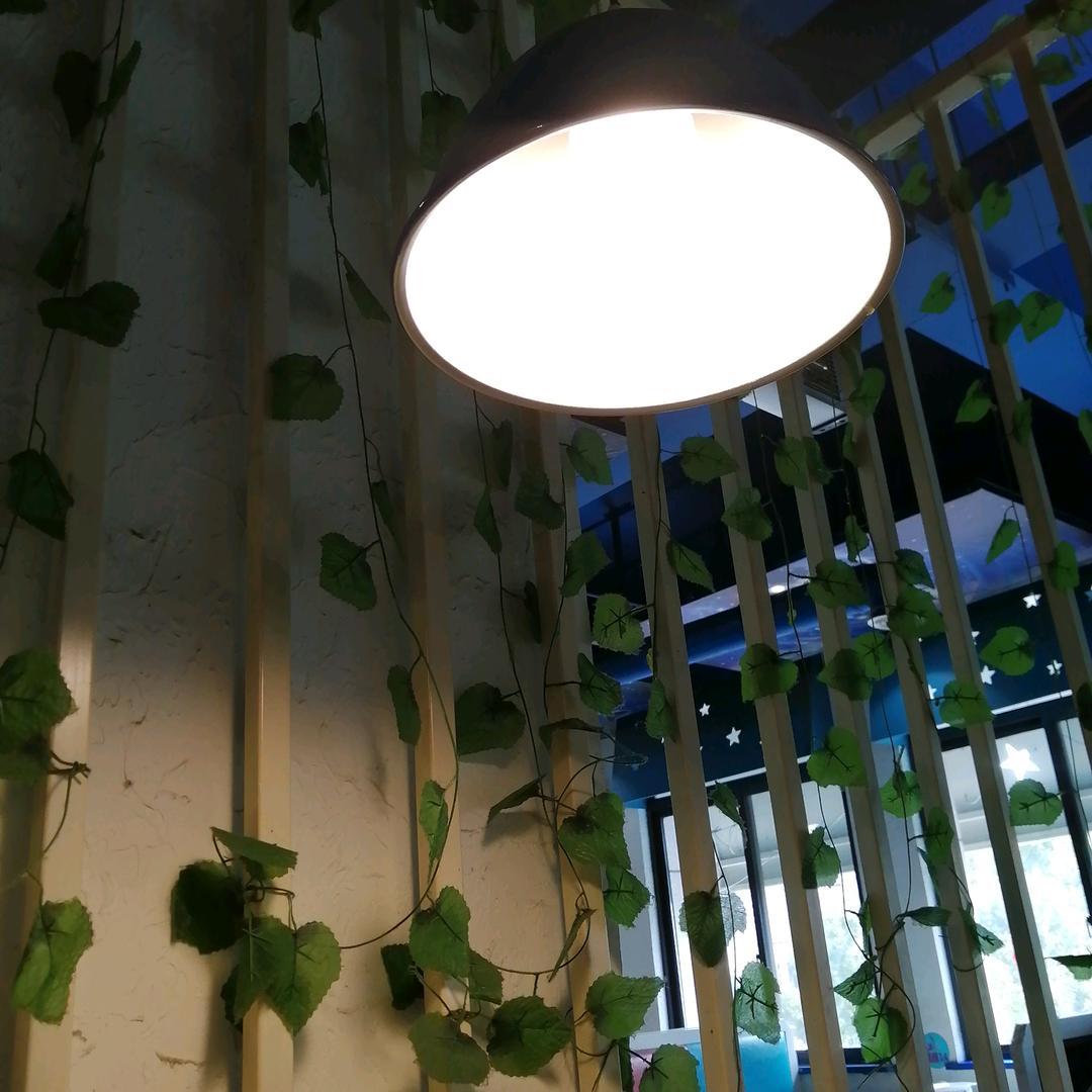 茉莉花