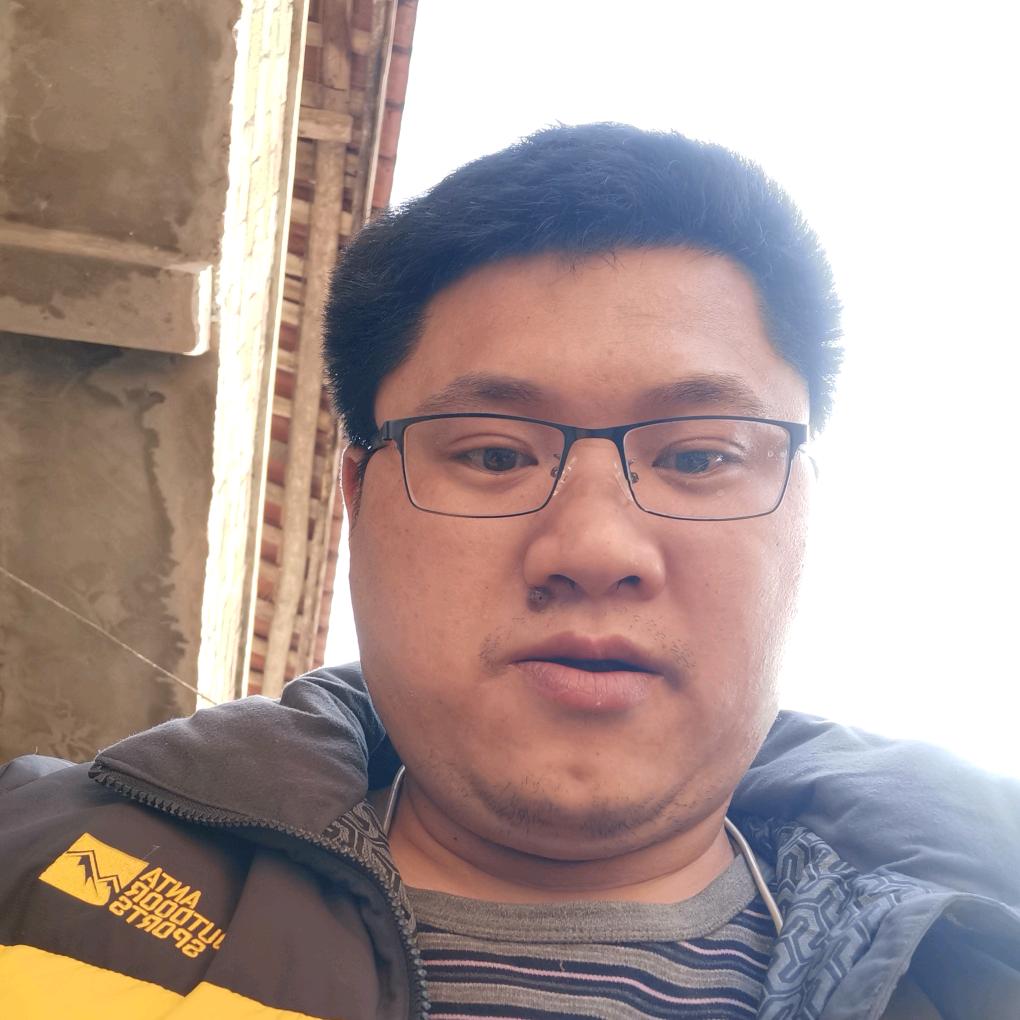 龙的传人